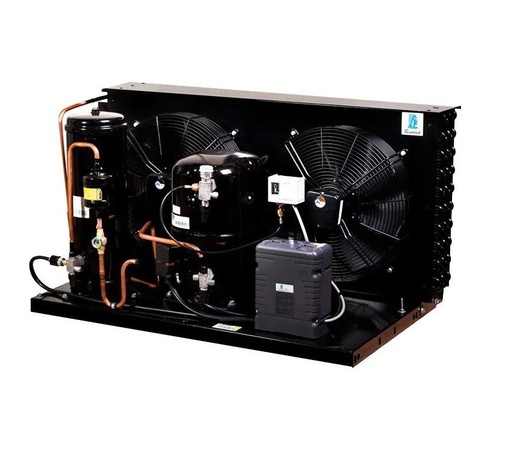 Unidad condensadora Tecumseh 10 HP R22 conservación